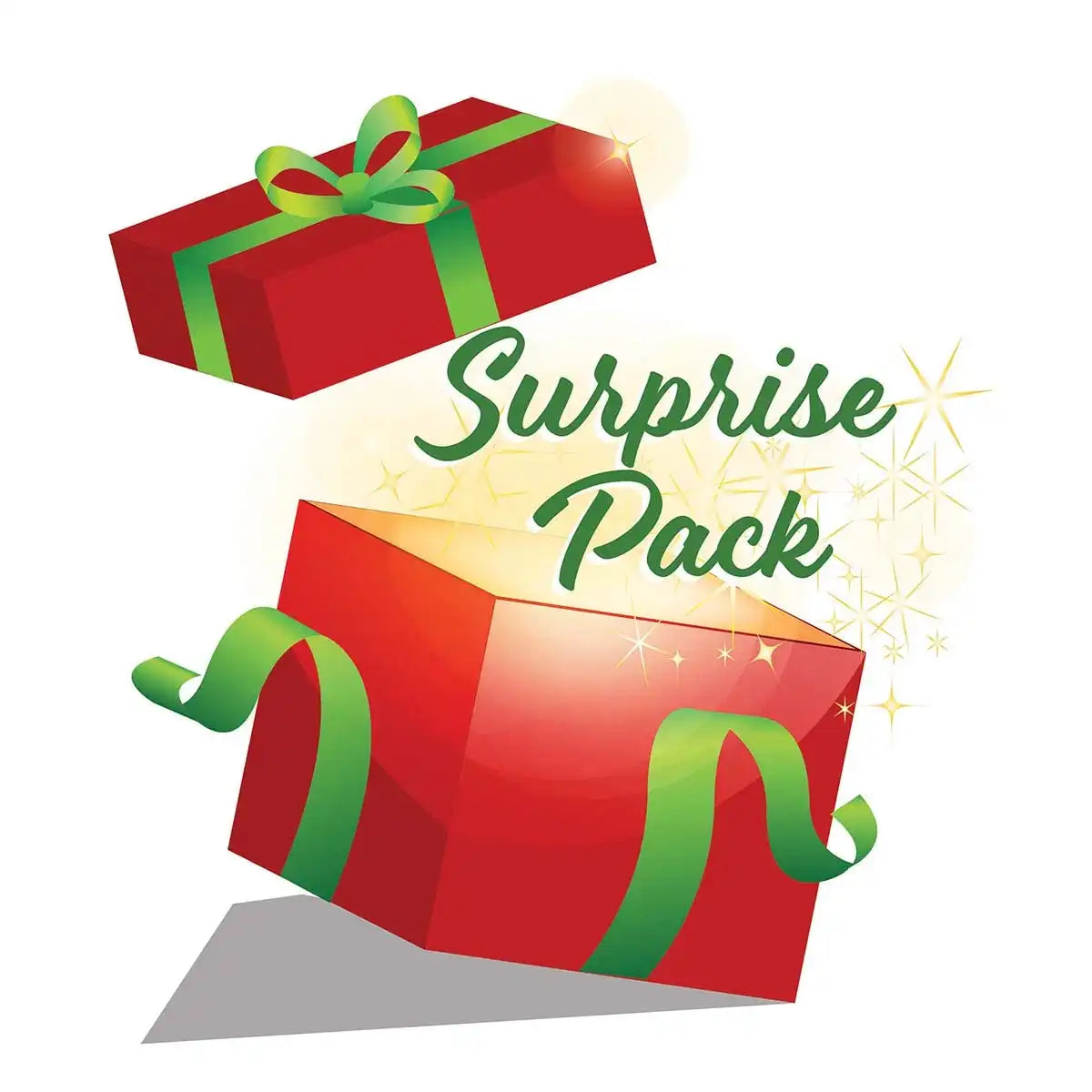 Herrschners Christmas Surprise Pack Craft Kit