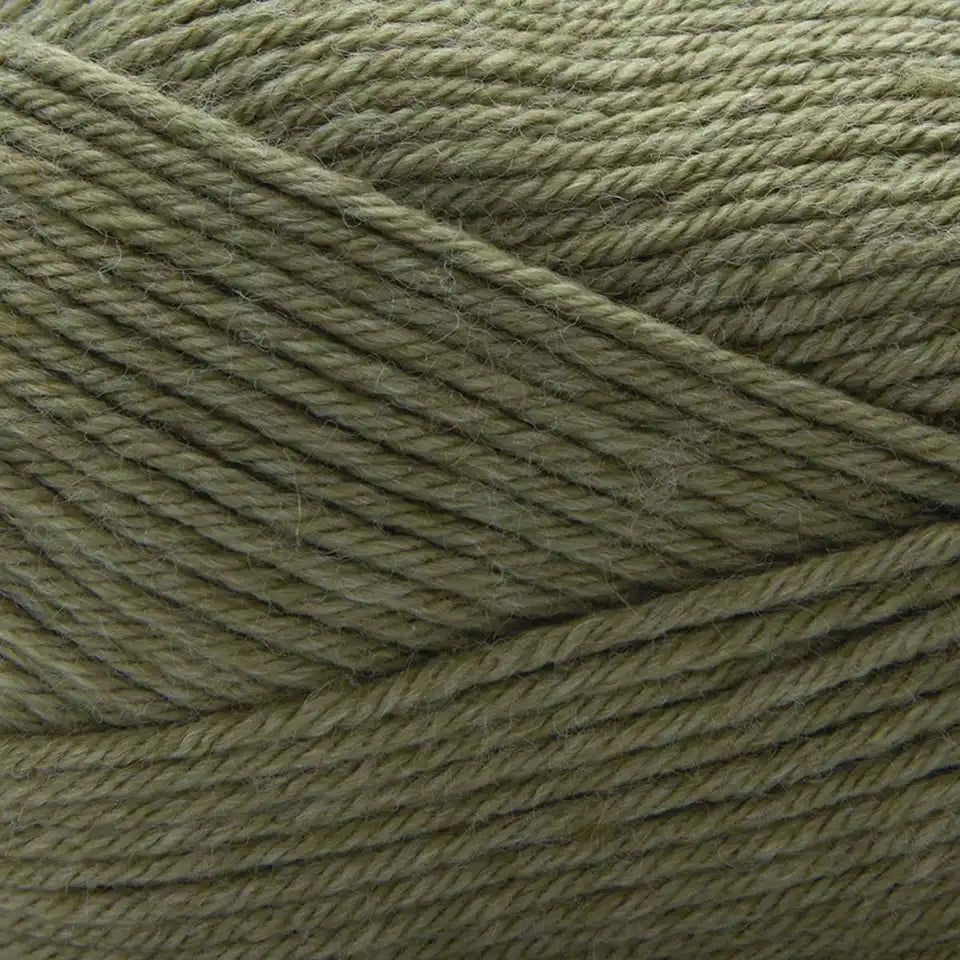 Premier Anti-Pilling Select Yarn