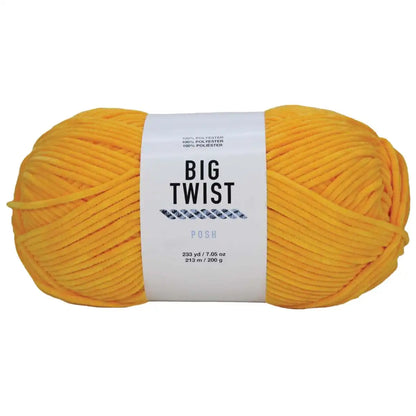 Big Twist Posh Yarn