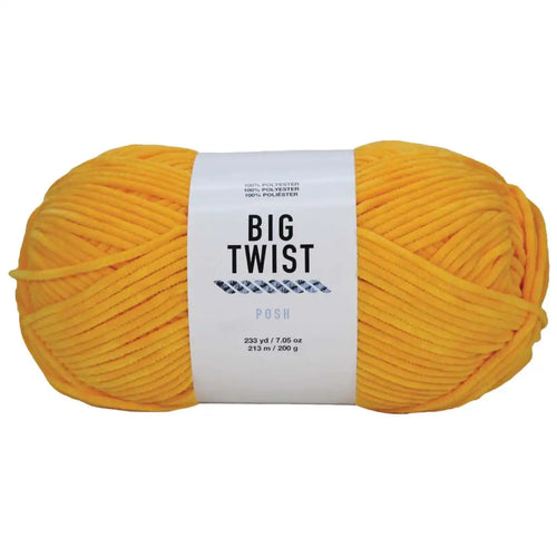 Big Twist Posh Yarn