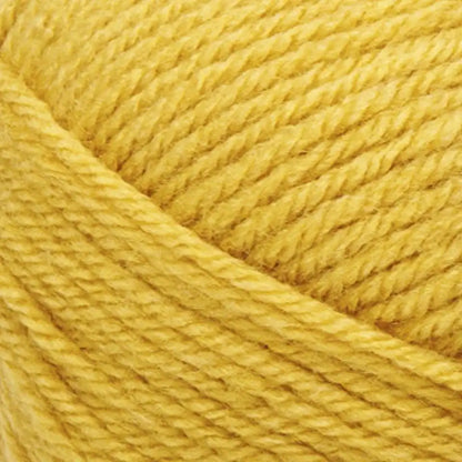 Lion Brand Vanna's Choice Yarn