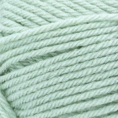 Lion Brand Vanna's Choice Yarn