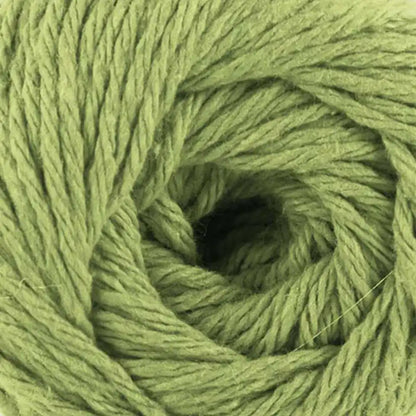 Premier Home Cotton Solids and Multis Yarn