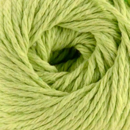 Premier Home Cotton Solids and Multis Yarn