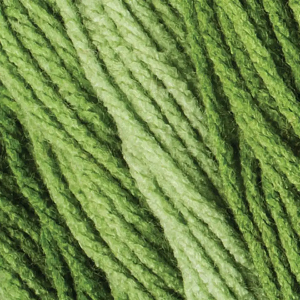 Red Heart Super Saver Ombré Yarn