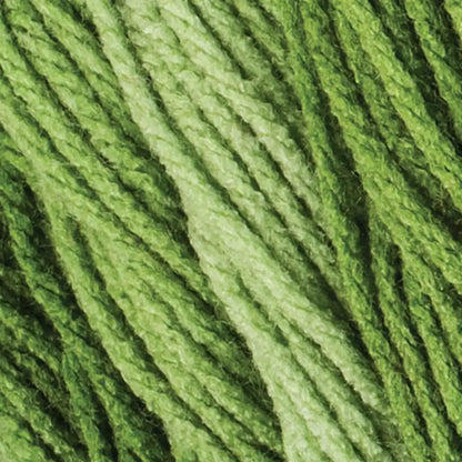 Red Heart Super Saver Ombré Yarn