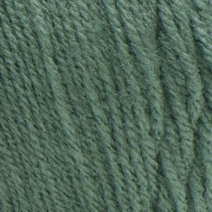 Red Heart Super Saver Yarn