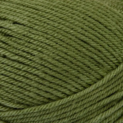 Premier Everyday Worsted Yarn