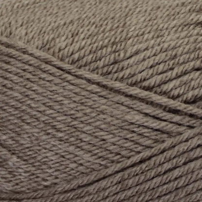 Premier Everyday Worsted Yarn