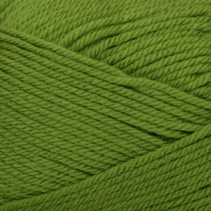 Premier Everyday Worsted Yarn
