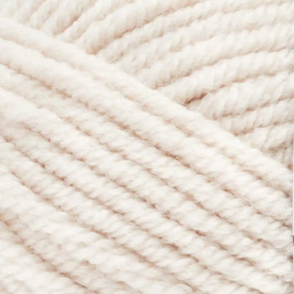 Premier Basix Chunky Yarn