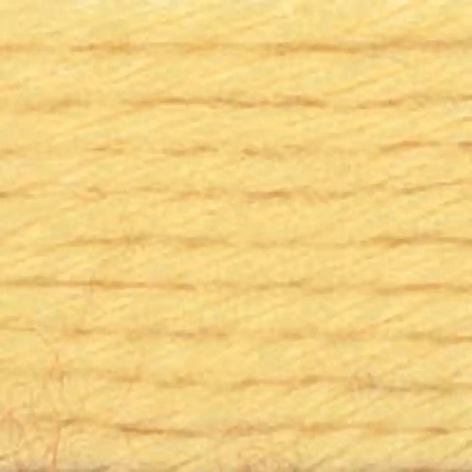 Caron Simply Soft Yarn