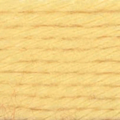 Caron Simply Soft Yarn