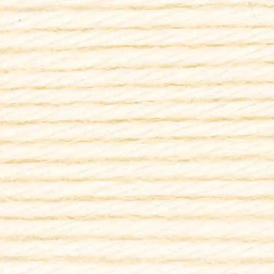 Caron Simply Soft Yarn