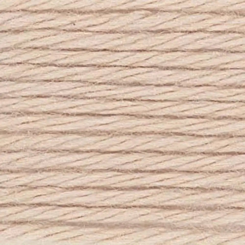 Caron Simply Soft Yarn