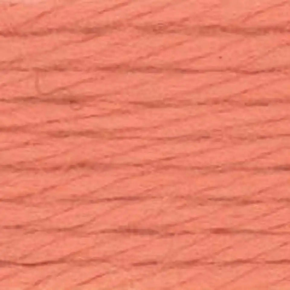 Caron Simply Soft Yarn