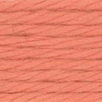 Caron Simply Soft Yarn