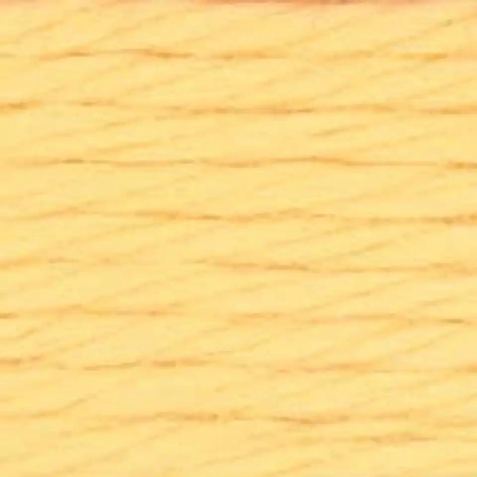 Caron Simply Soft Yarn