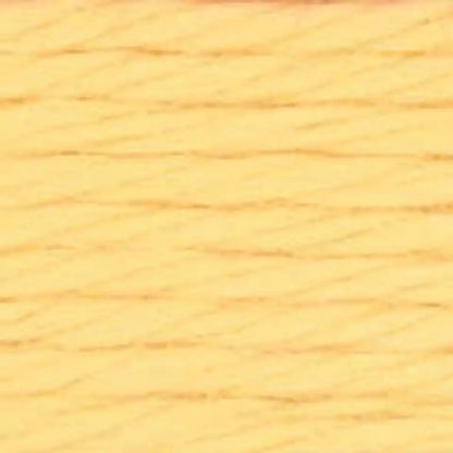 Caron Simply Soft Yarn