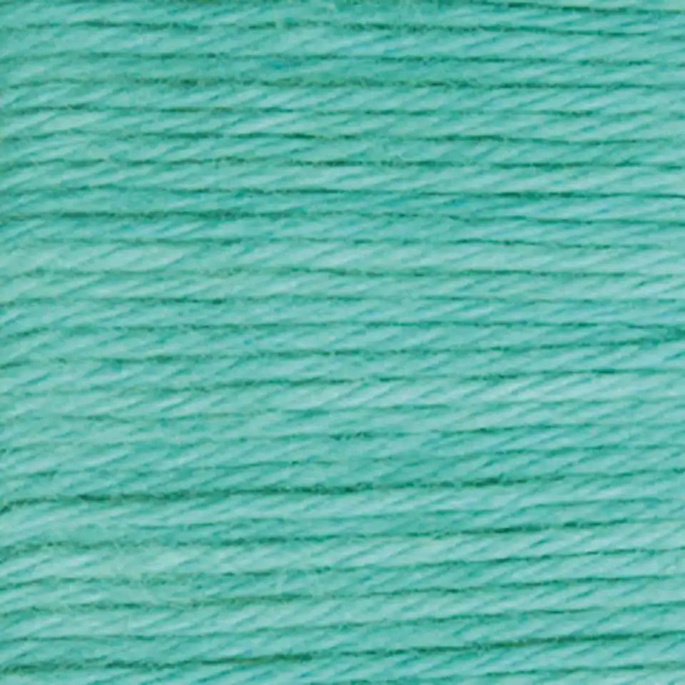 Caron Simply Soft Yarn