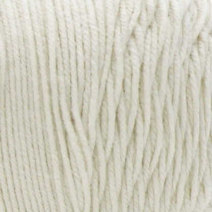 Caron One Pound Yarn