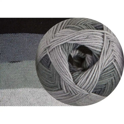 Herrschners Worsted 8 Gradience Yarn