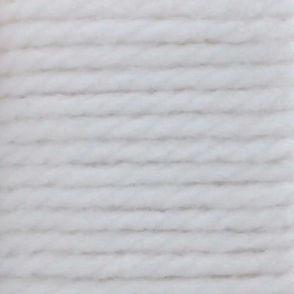 Bernat Softee Chunky Yarn