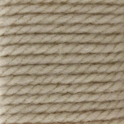 Bernat Softee Chunky Yarn