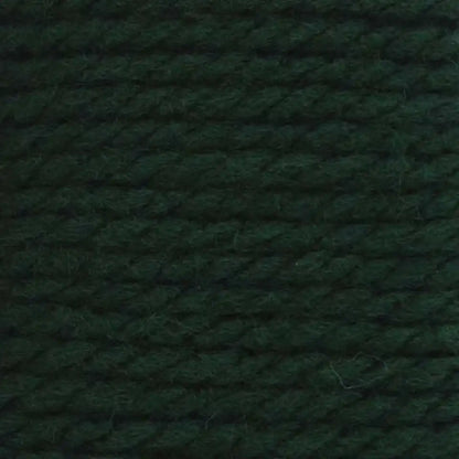 Bernat Softee Chunky Yarn