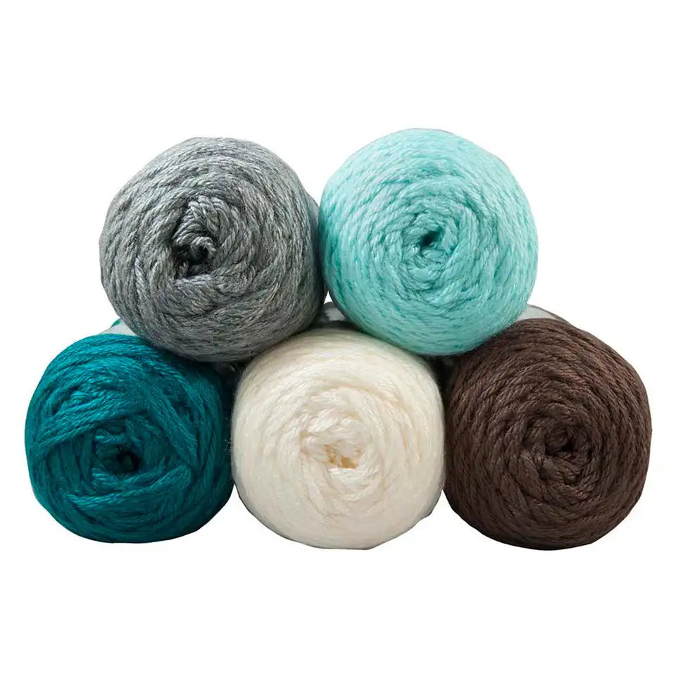 Caron Simply Soft Yarn Pack