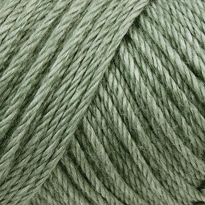 Caron Simply Soft Heathers Yarn
