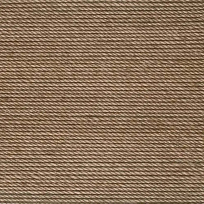 Aunt Lydia's Classic 10 Crochet Thread