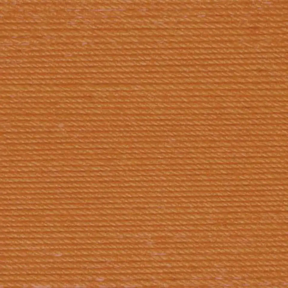 Aunt Lydia's Classic 10 Crochet Thread