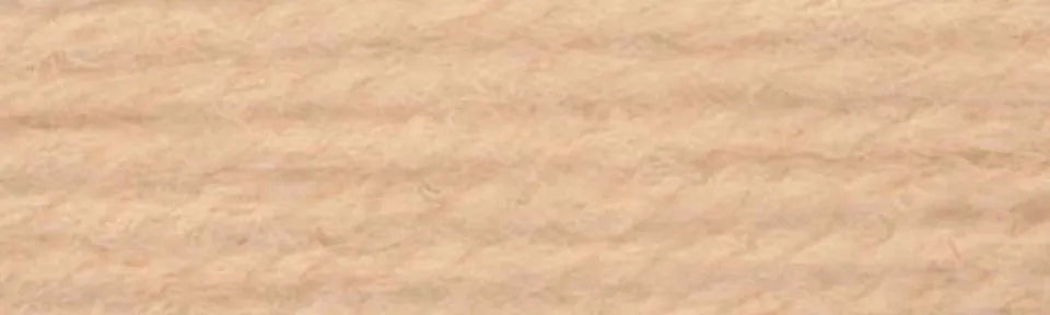 Herrschners Plastic Canvas Craft Yarn 25 Yard Hank