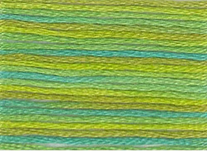 DMC Color Variations Embroidery Floss