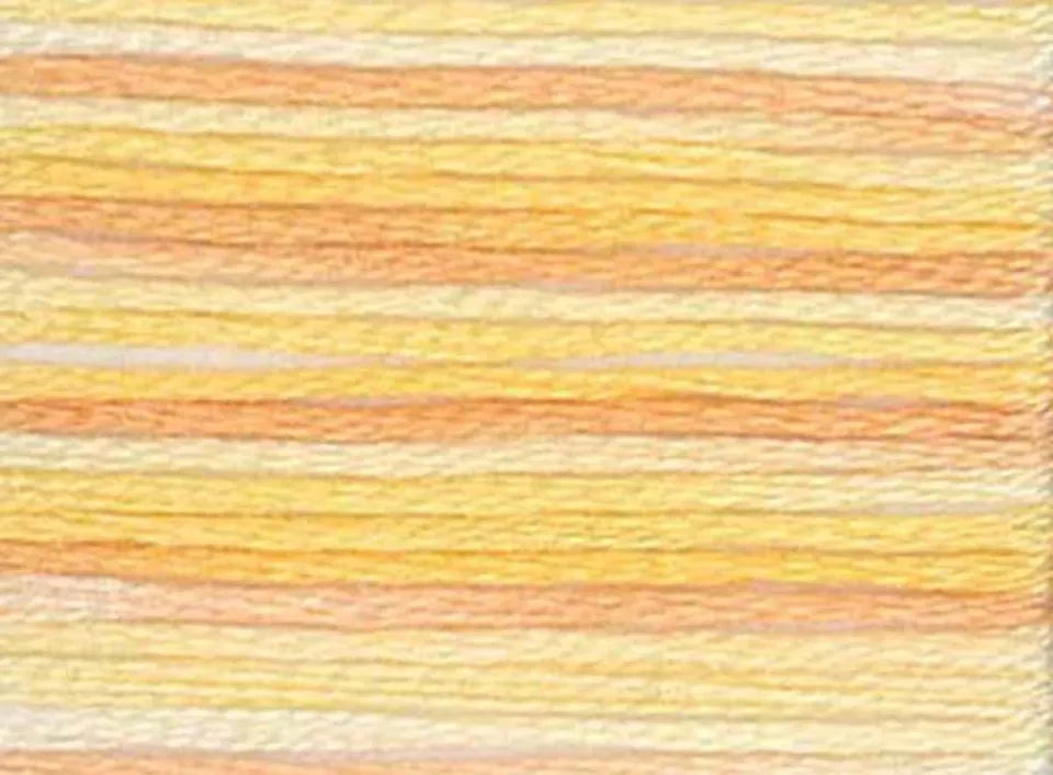 DMC Color Variations Embroidery Floss