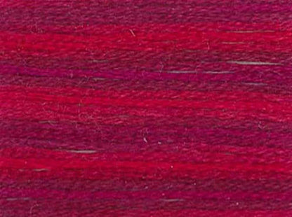DMC Color Variations Embroidery Floss