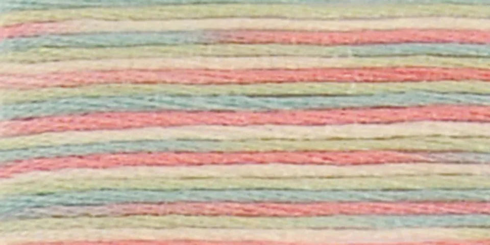 DMC Coloris Embroidery Floss