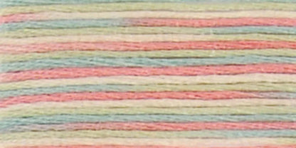 DMC Coloris Embroidery Floss
