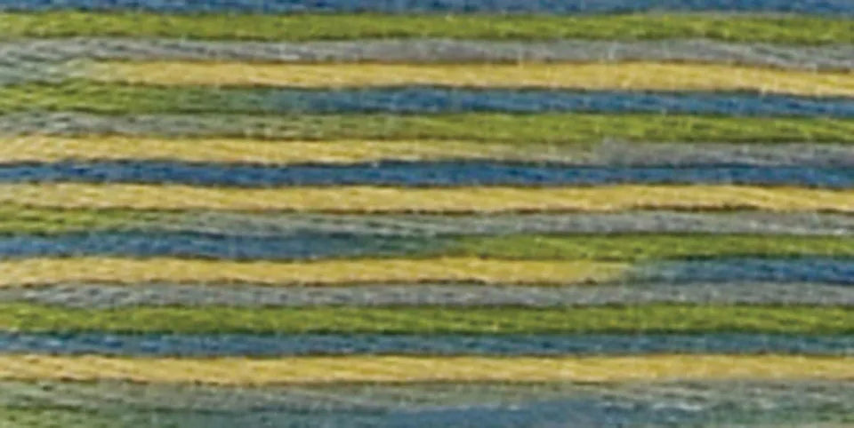 DMC Coloris Embroidery Floss