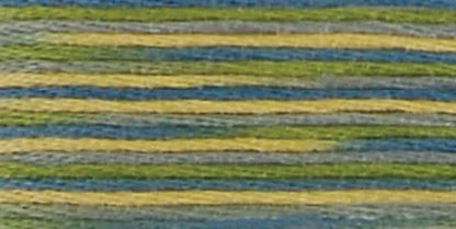 DMC Coloris Embroidery Floss