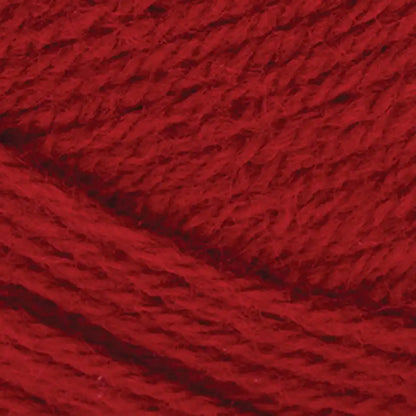 Lion Brand Pound of Love Yarn