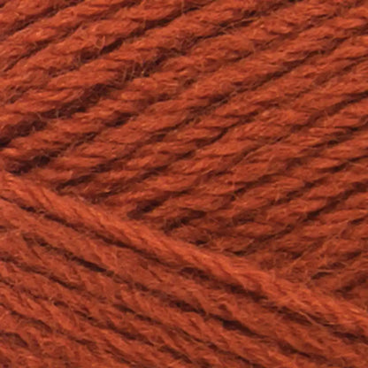 Lion Brand Pound of Love Yarn