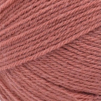 Lion Brand Pound of Love Yarn