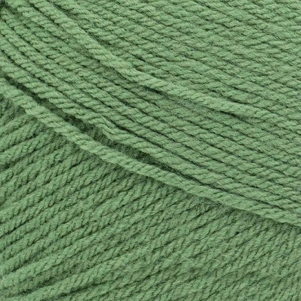 Lion Brand Pound of Love Yarn