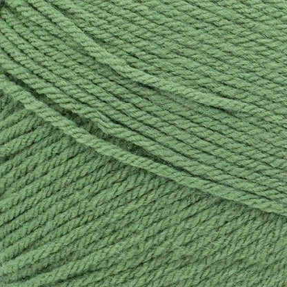 Lion Brand Pound of Love Yarn