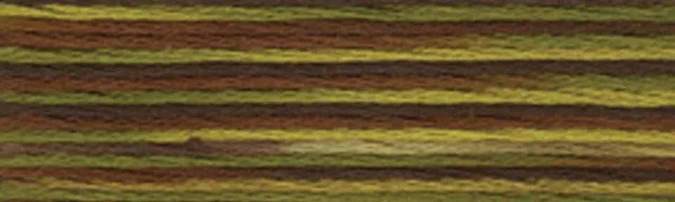 DMC Color Variations Embroidery Floss