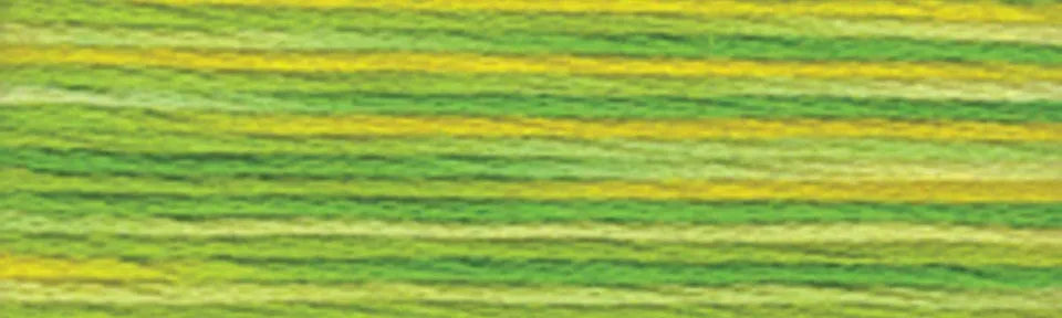 DMC Color Variations Embroidery Floss