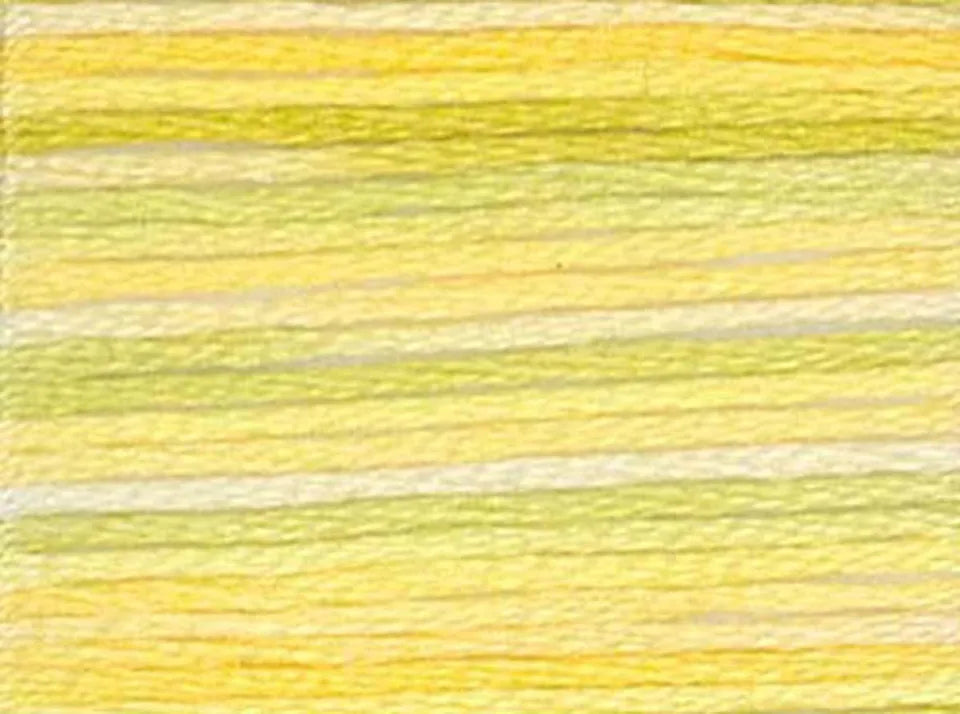 DMC Color Variations Embroidery Floss