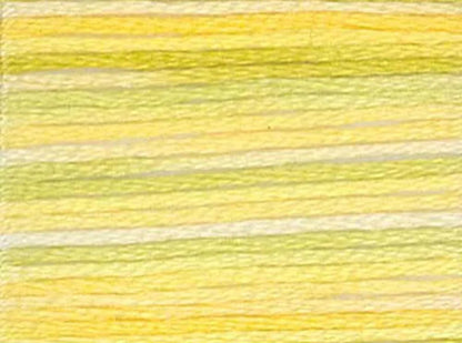 DMC Color Variations Embroidery Floss